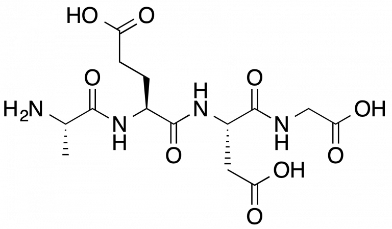 epithalon