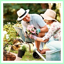 Aging prevention Aging prevention