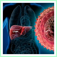 Hepatitis Chronic Hepatitis