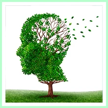 Memory Loss Memory Loss