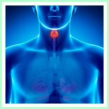 Thyroid dysfunction Thyroid dysfunction