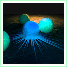 Treatment and prevention of cancer