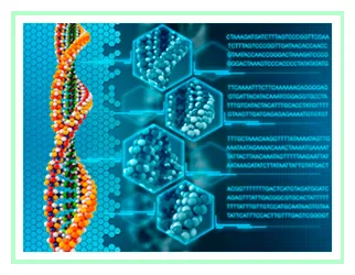 DNA DNA